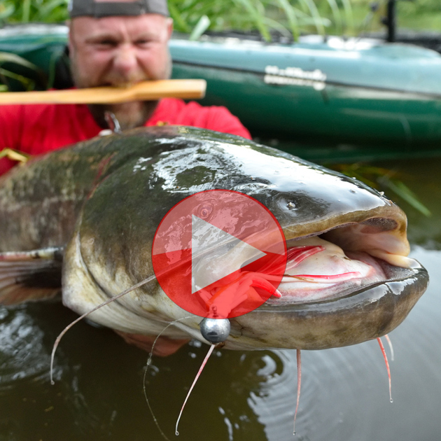 How To Fish For Wels Catfish